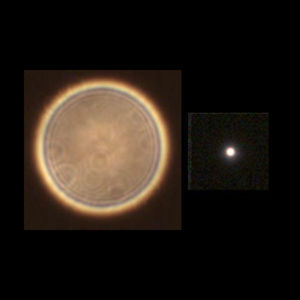 Bild von TS Imaging Star 100mm f/5,8 Quadruplet Apo Astrograph - FPL-53 Apo Objektiv