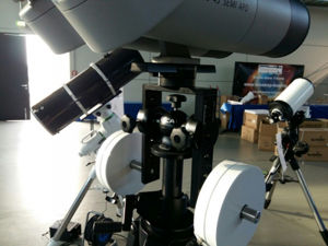 Bild von Berlebach Omega Kopf Spica