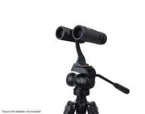 Bild von Celestron TrailSeeker ED 10x42mm Dachkantprisma BaK4 -Fernglas