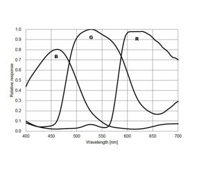 ZWO Farb Astrokamera ASI294MC Pro gekühlt - Sony Sensor D=23,2 mm